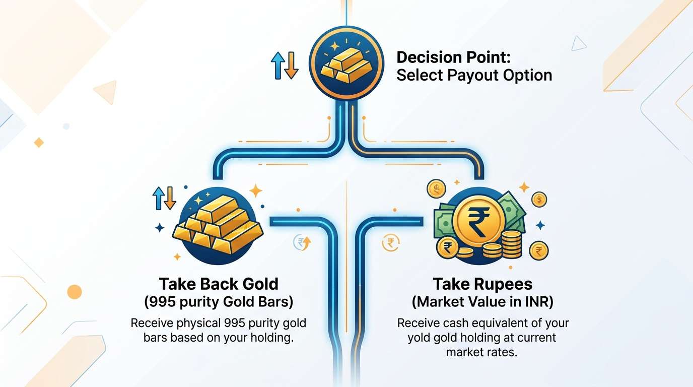 GMS maturity decision